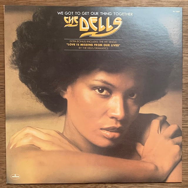 Dells - We Got To Get Our Thing Together