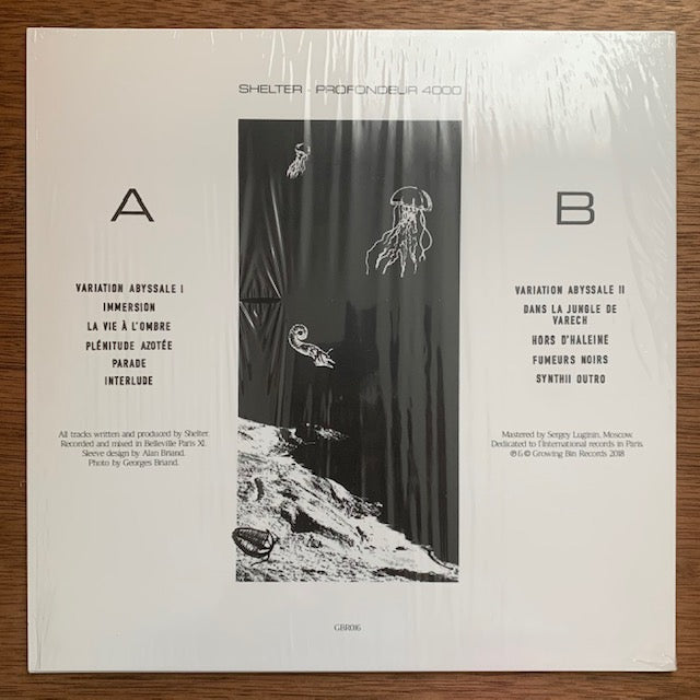 Shelter - Profondeur 4000