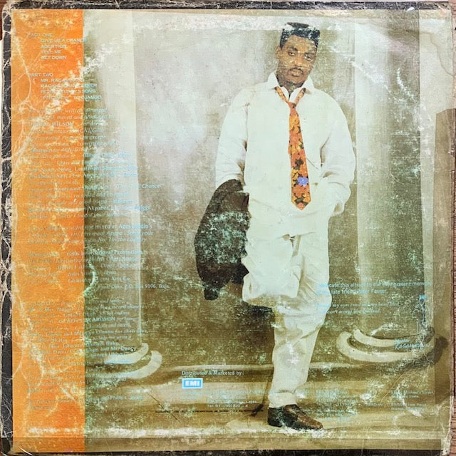 Daniel Wilson - Mister Ragamuffin