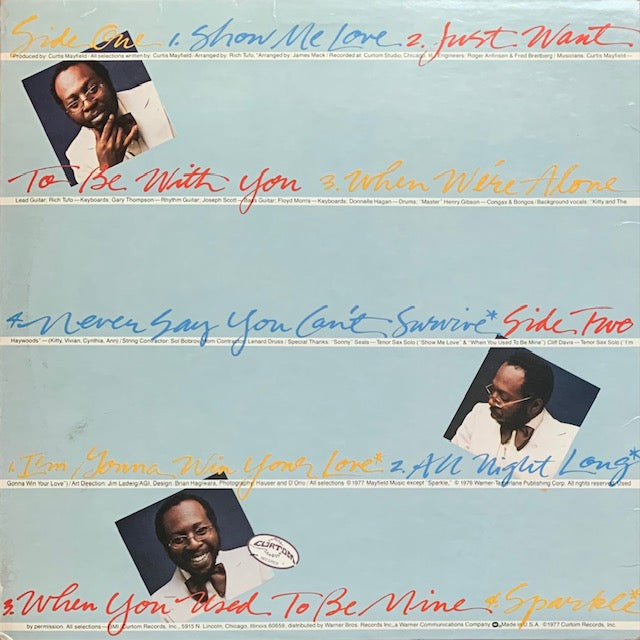 Curtis Mayfield - Never Say You Can't Survive