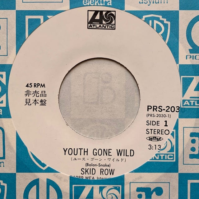 Skid Row - Youth Gone Wild