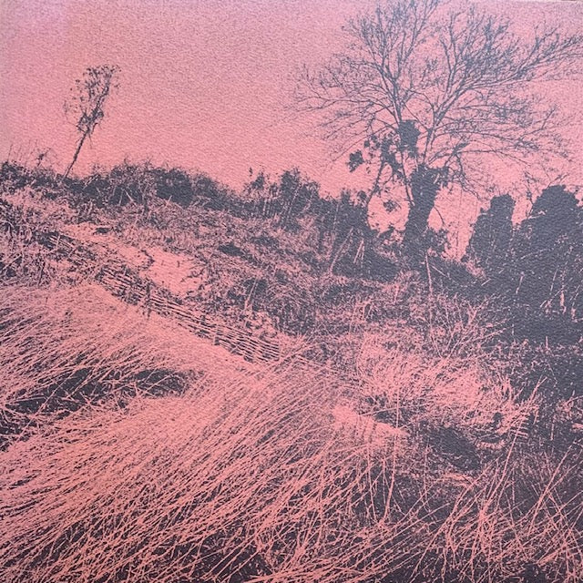 ディランII - きのうの思い出に別れをつげるんだもの