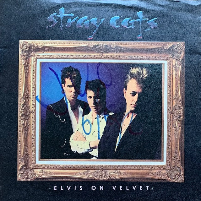 Stray Cats - Elvis On Velvet