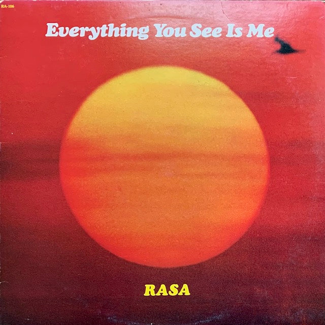 Rasa - Everything You See Is Me