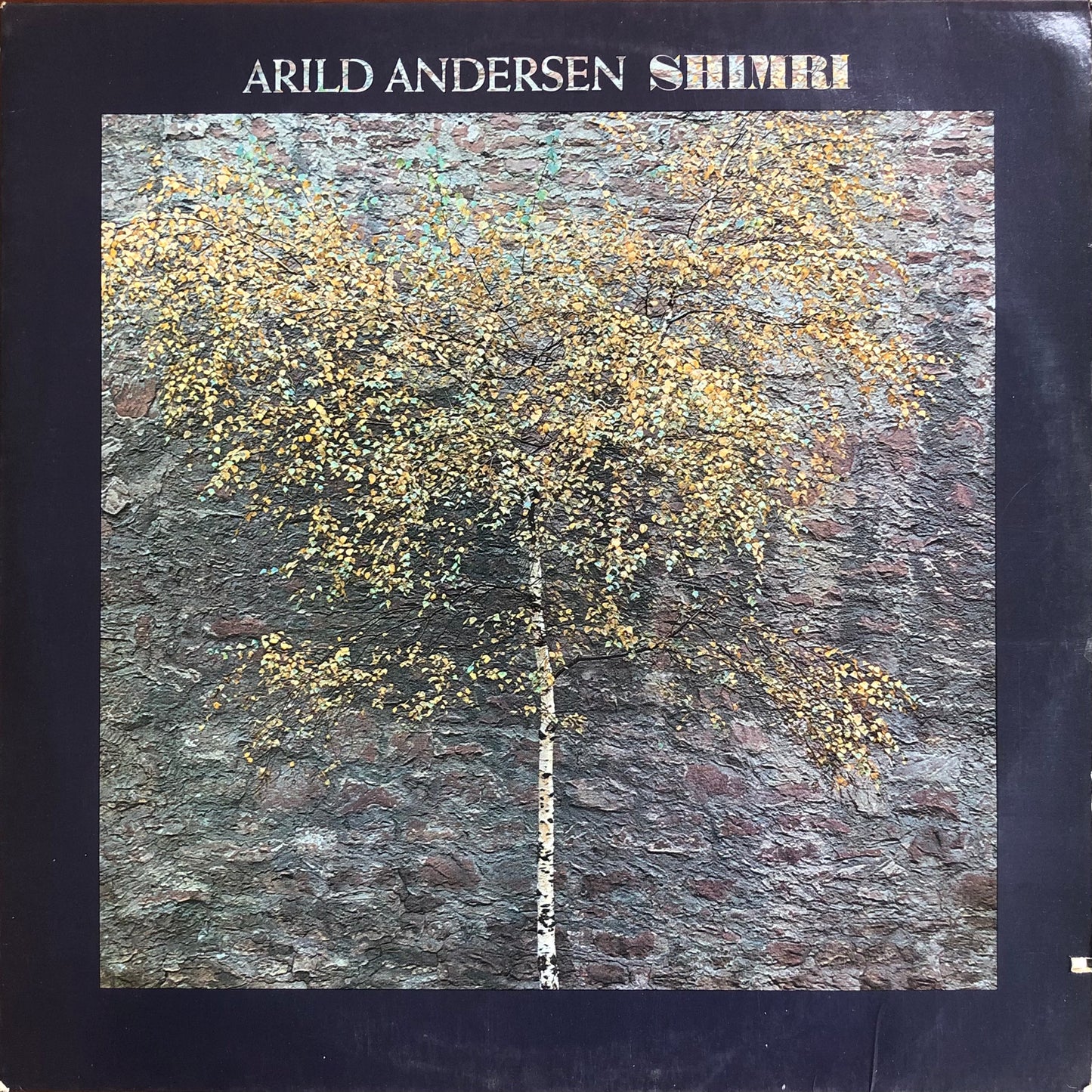 Arild Andersen - Shimri