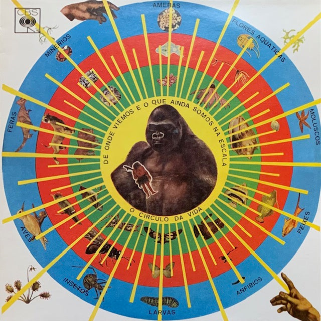Pedro Santos - Krishnanda