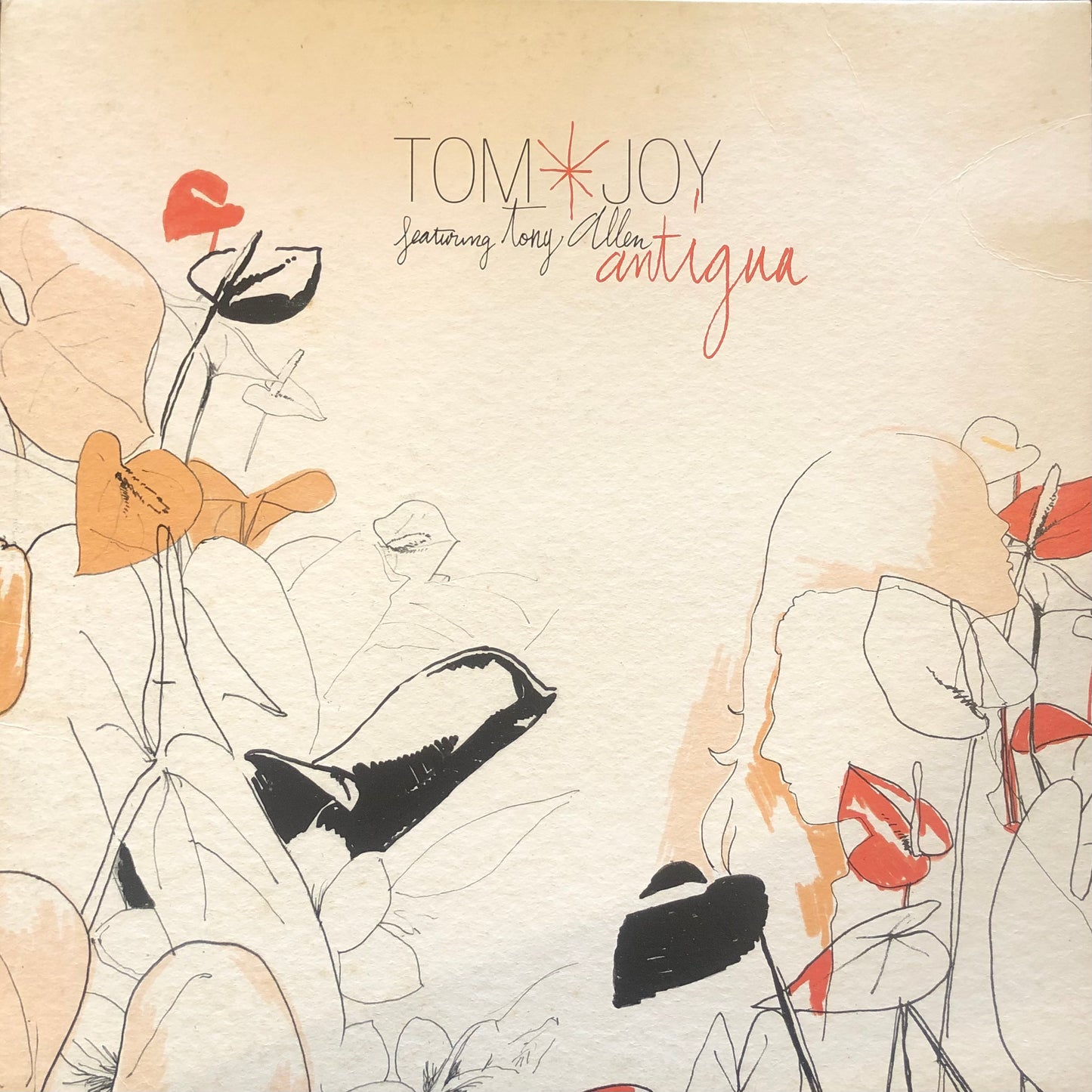 Tom & Joy - Antigua