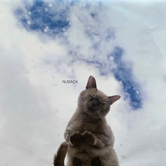 Nuback - When The Party Is Over