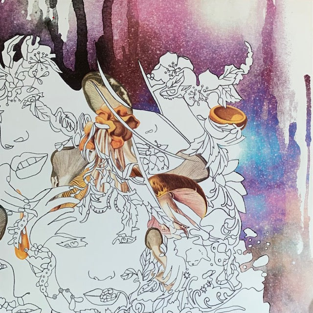 Dykehouse - Midrange