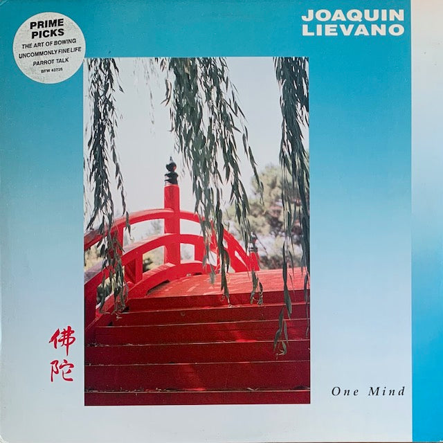 Joaquin Lievano - One Mind