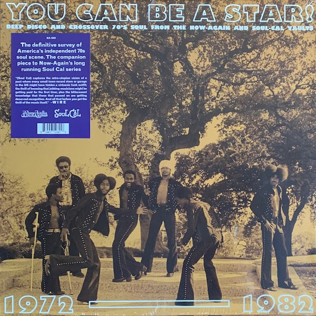 V.A. - You Can Be A Star!