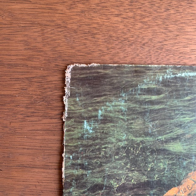 Ney Matogrosso - Mato Grosso