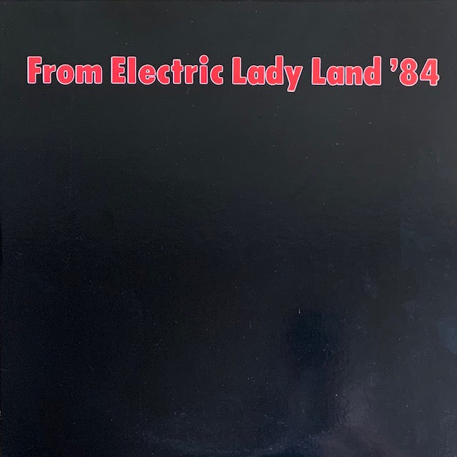 V.A. - From Electric Lady Land '84