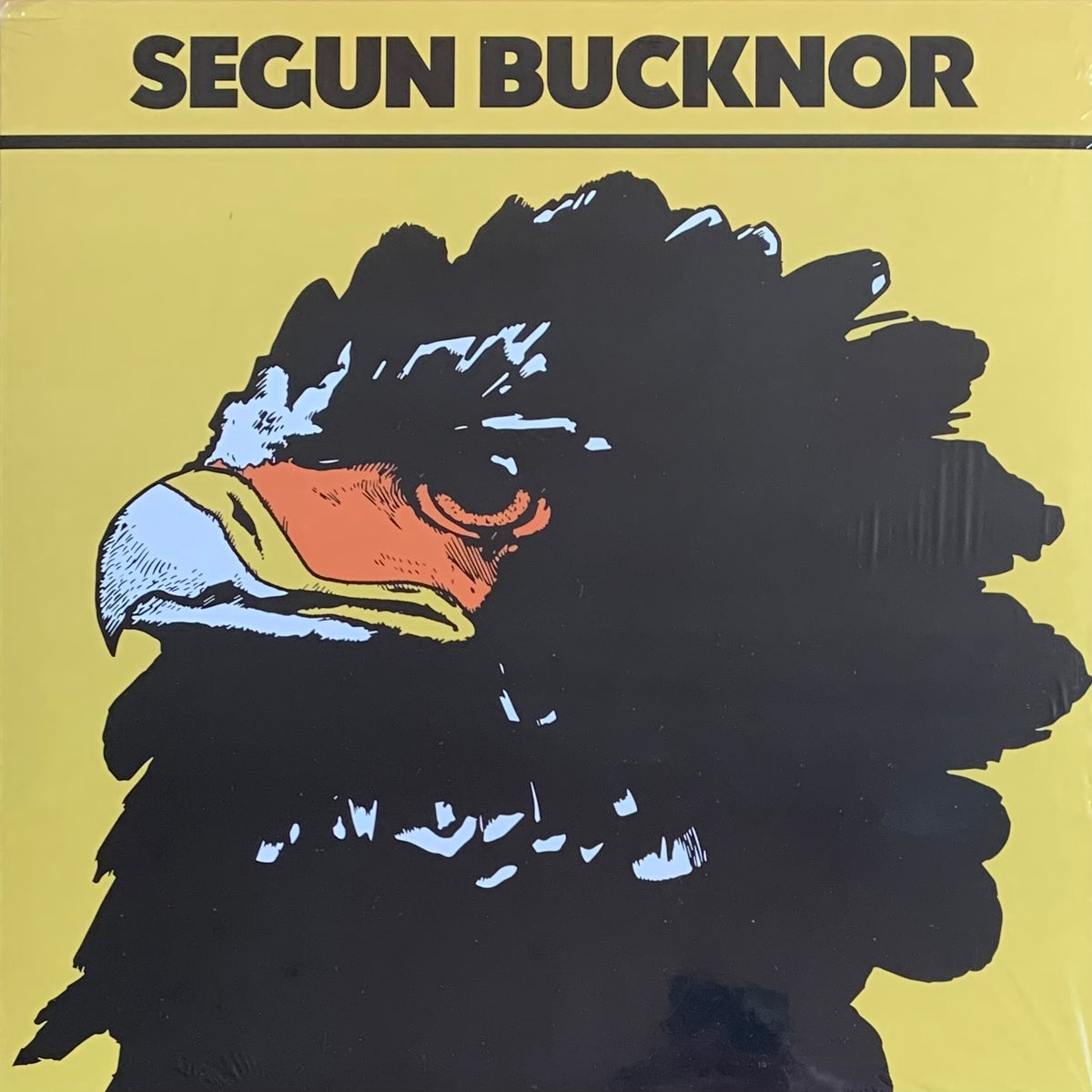 Segun Bucknor - Segun Bucknor