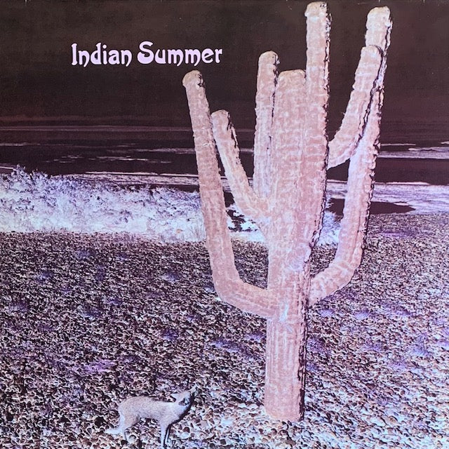 Indian Summer - Indian Summer