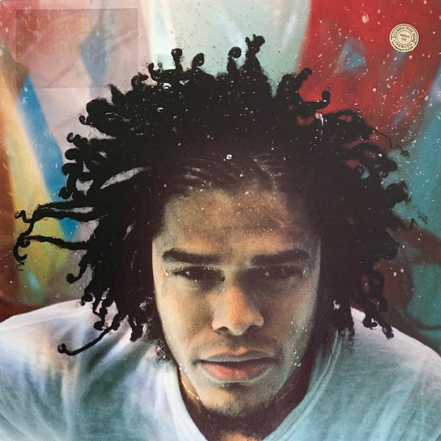 Maxwell - Embrya