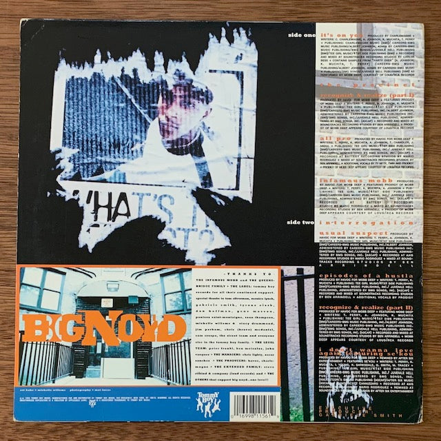 Big Noyd-Episodes Of A Hustla