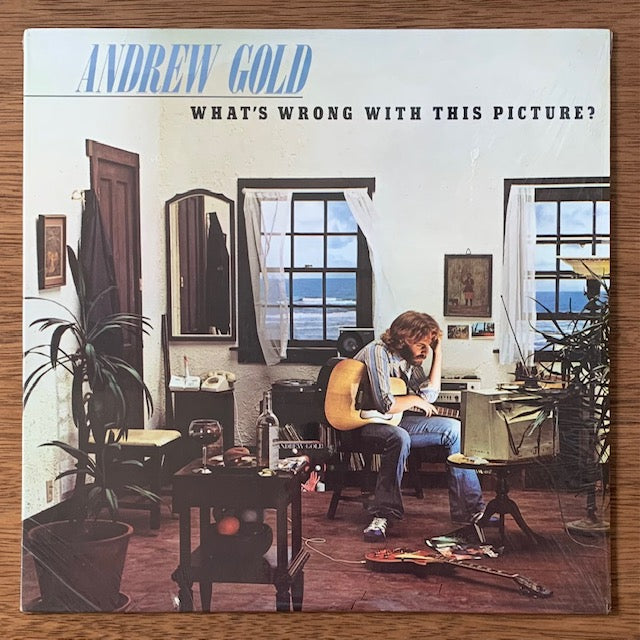 Andrew Gold - What's Wrong With This Picture? (自画像)