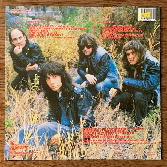 Lazy Cowgirls - How It Looks – How It Is