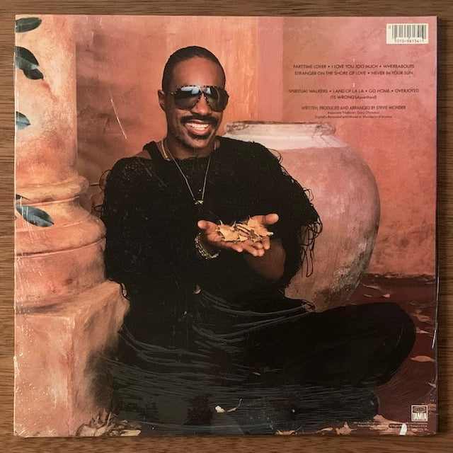 Stevie Wonder-In Square Circle