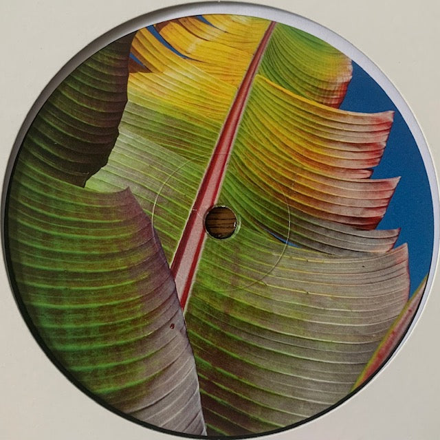 Kieran Hebden-Only Human