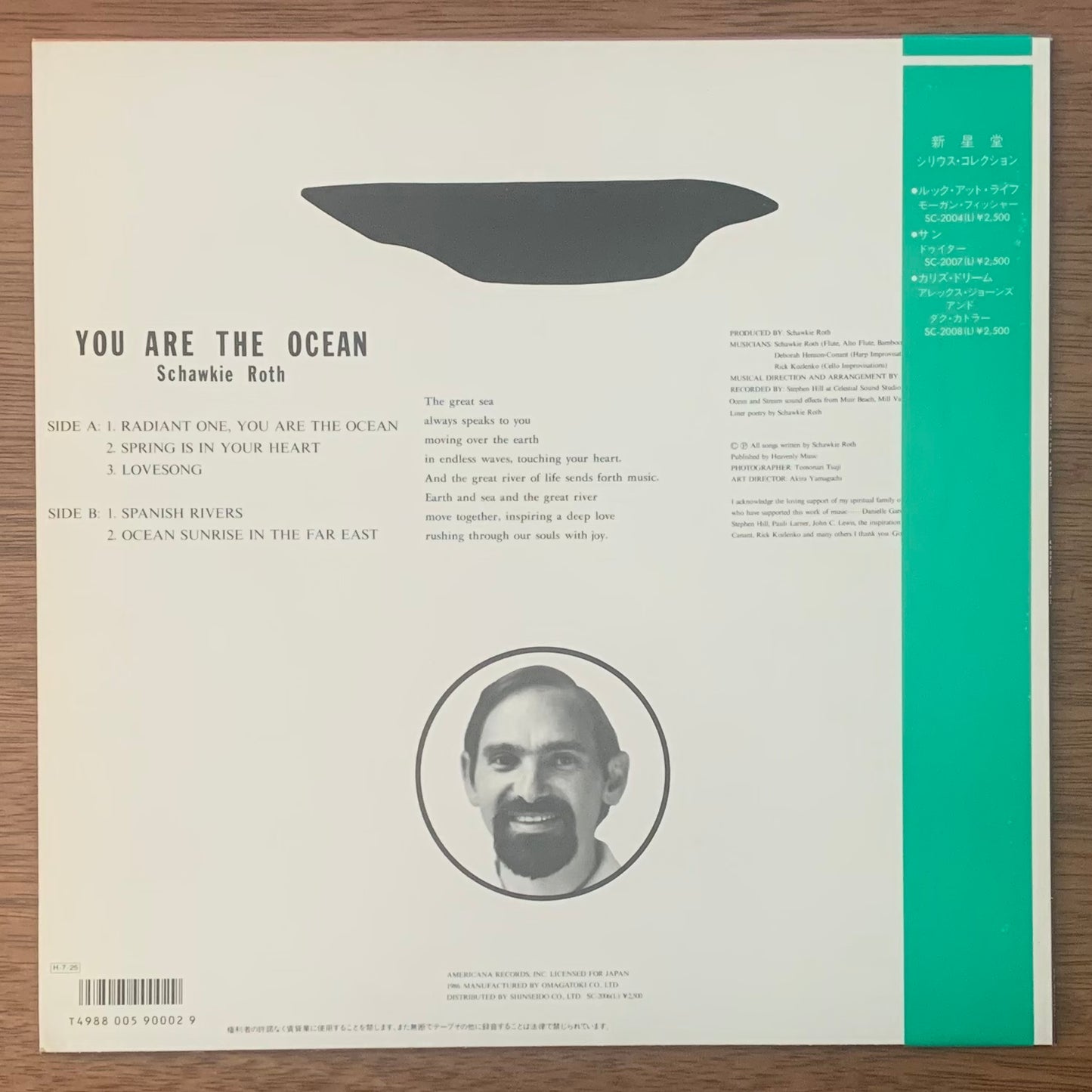 Schawkie Roth - You Are The Ocean