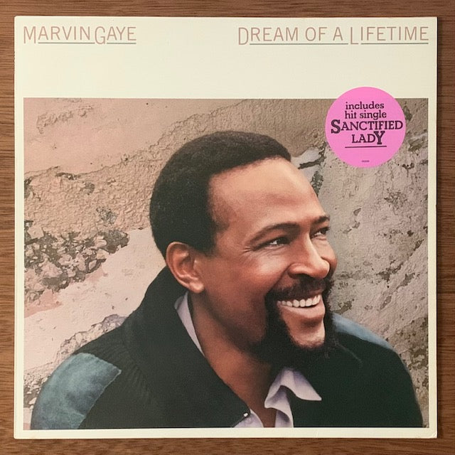 Marvin Gaye - Dream Of A Lifetime