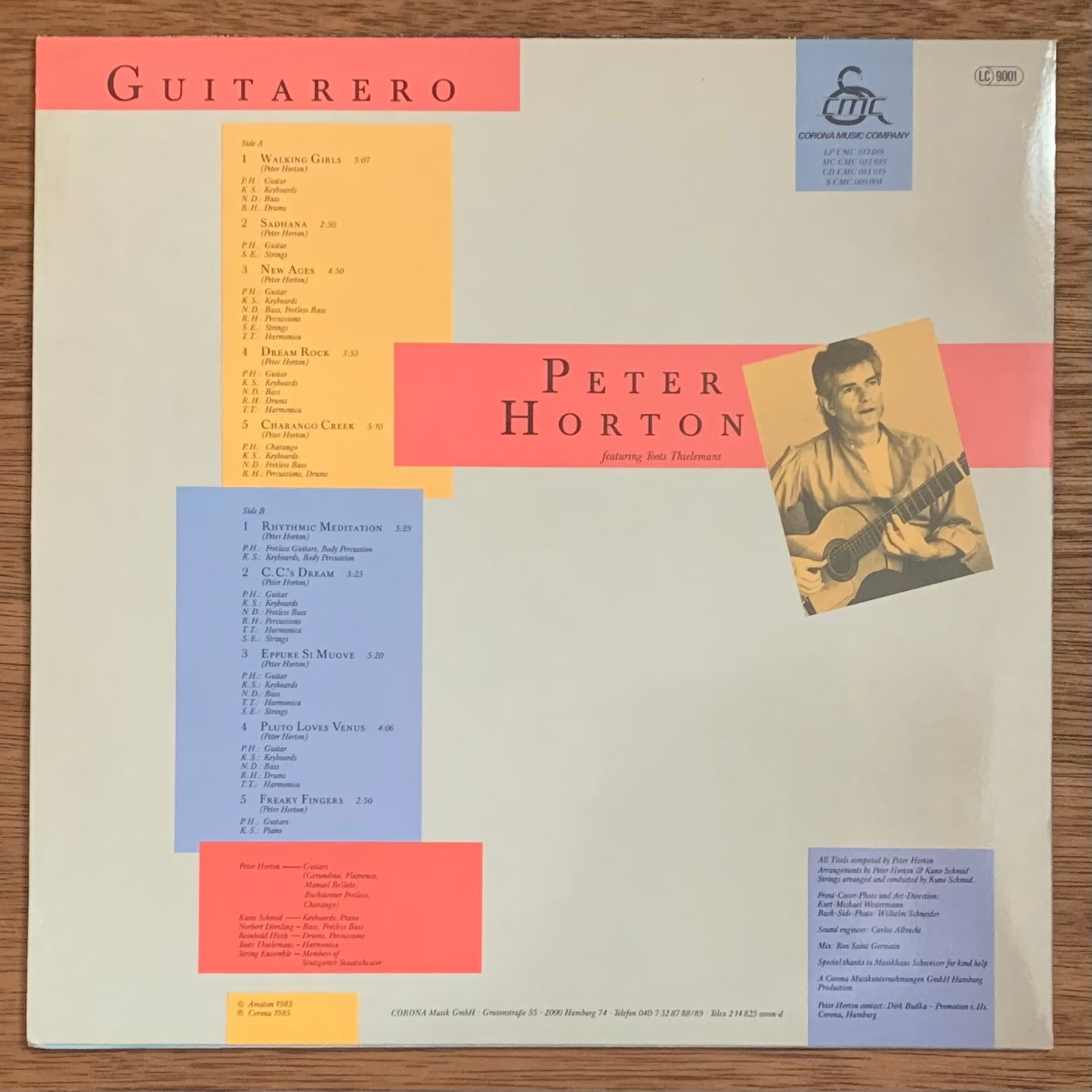 Peter Horton - Guitarero