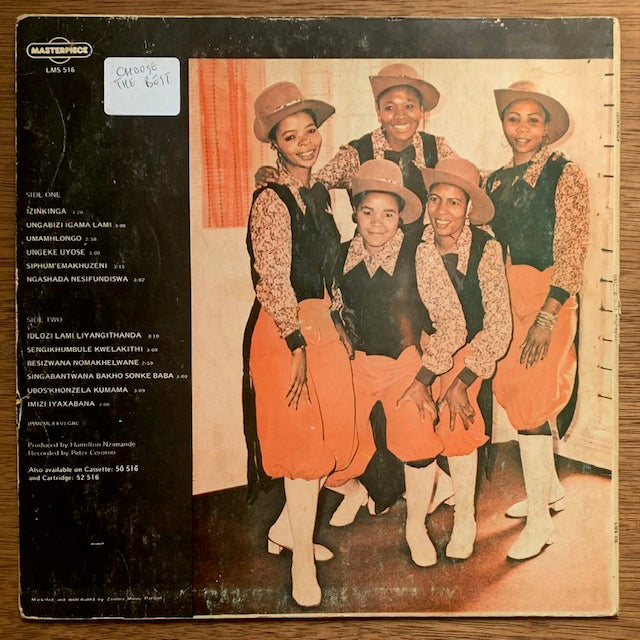 Usizwe Namatshitshi - Izinkinga