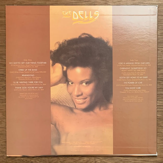 Dells - We Got To Get Our Thing Together