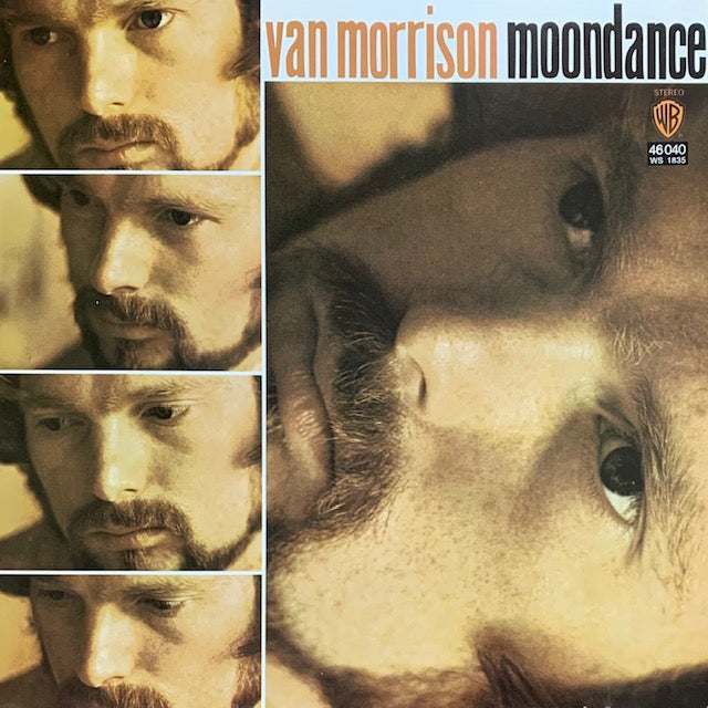 Van Morrison - Moondance