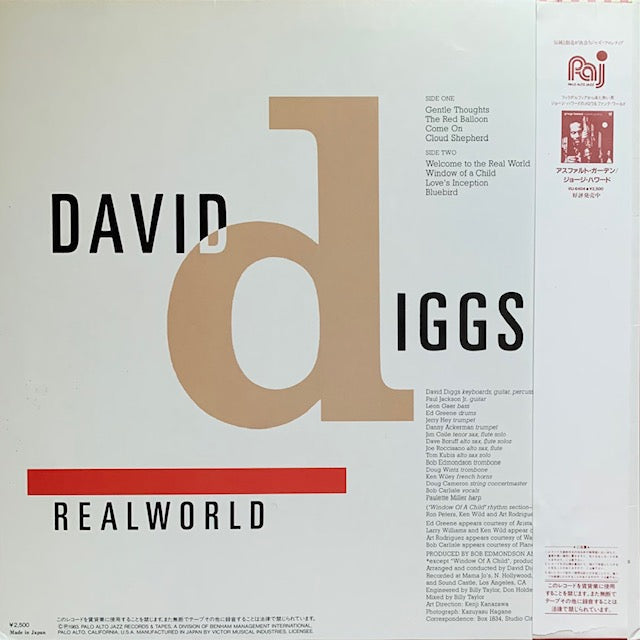 David Diggs - Realworld