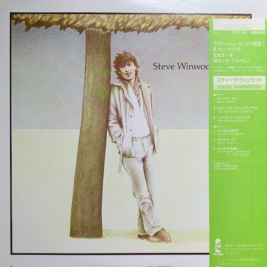 Steve Winwood - Steve Winwood