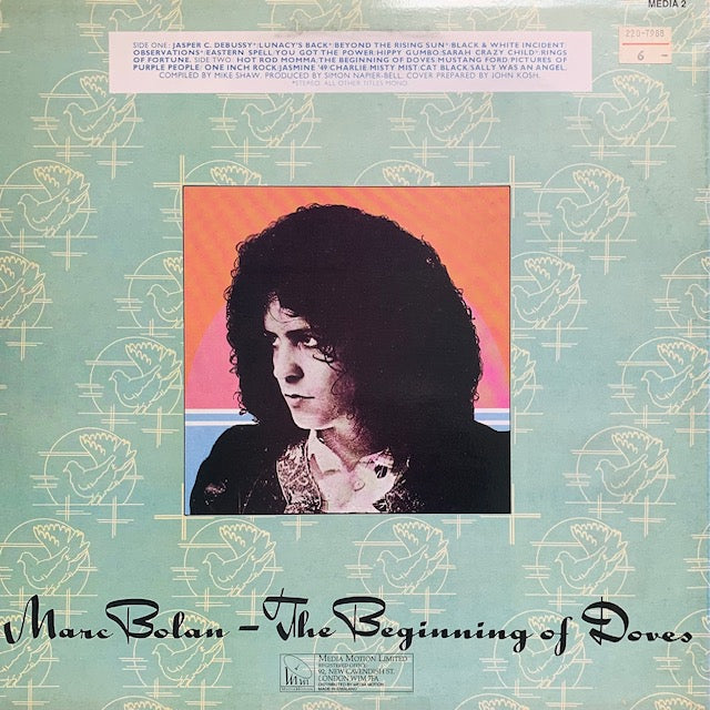 Marc Bolan - The Beginning Of Doves