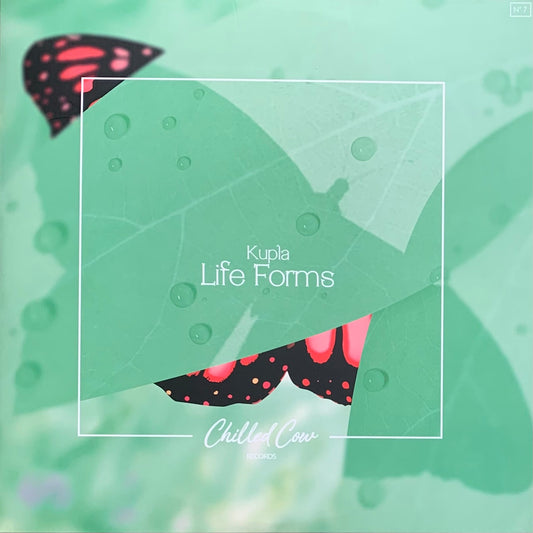 Kupla - Life Forms