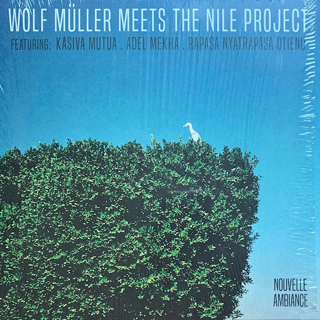 Wolf Muller meets The Nile Project - Wolf Muller meets The Nile Project