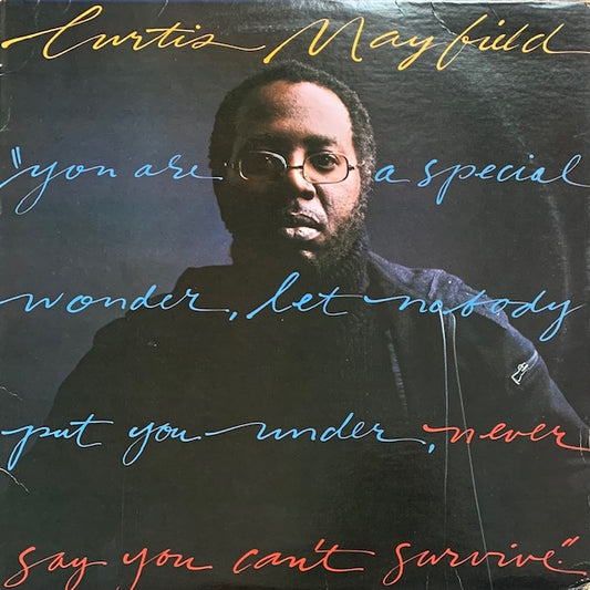 Curtis Mayfield - Never Say You Can't Survive