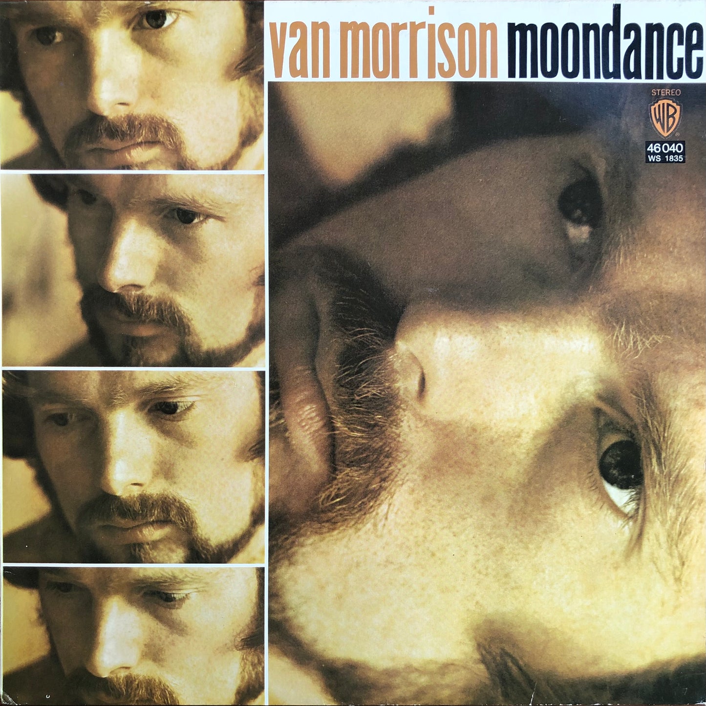 Van Morrison - Moondance