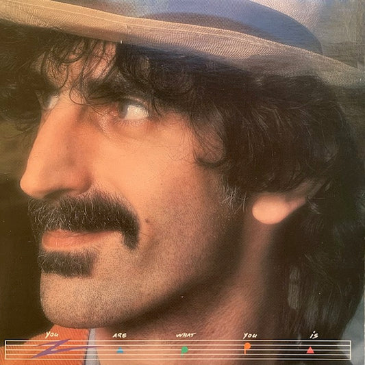 Frank Zappa - You Are What You Is