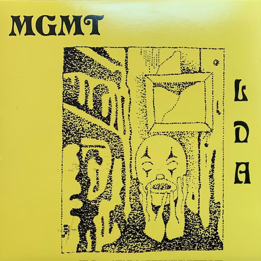 MGMT - Little Dark Age