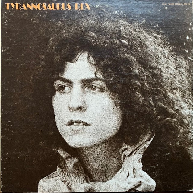 Tyrannosaurus Rex - A Beard Of Stars