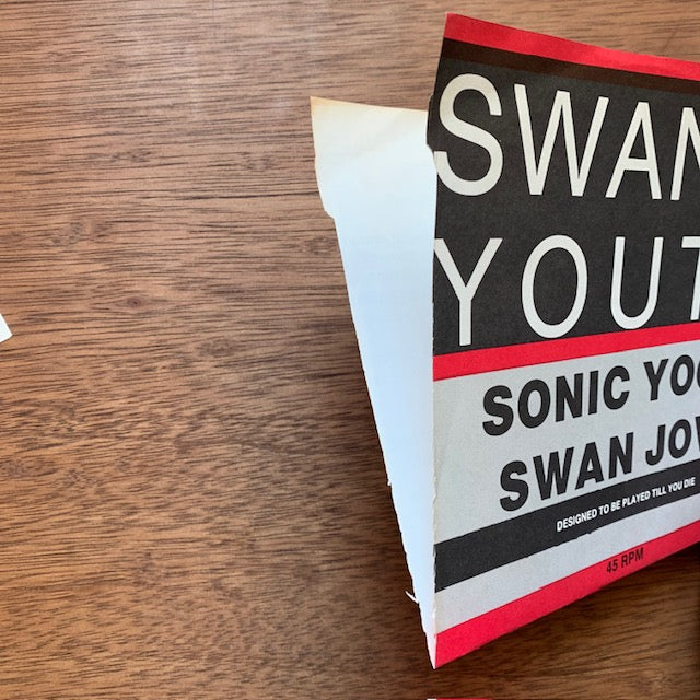 Swanic Youth - Sonic Yoot