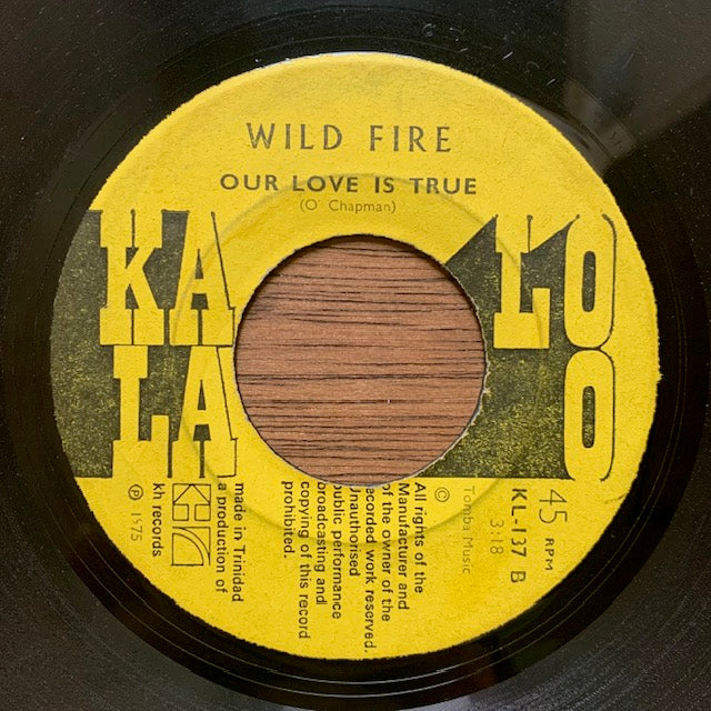 Wild Fire - Check It Out