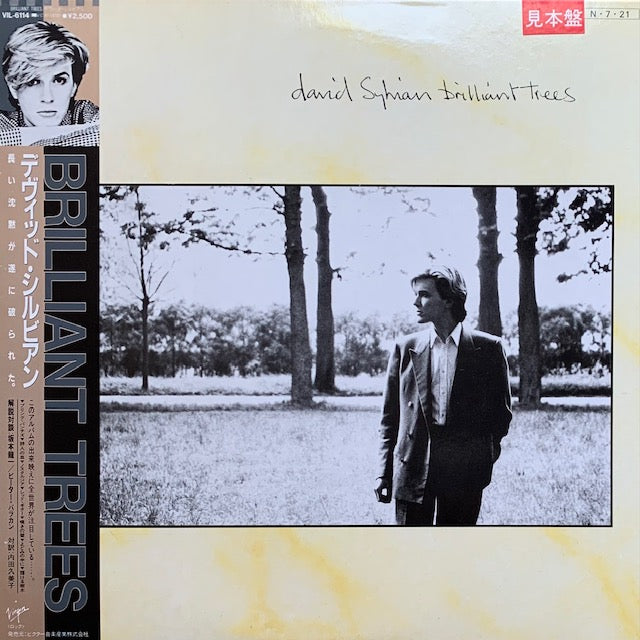 David Sylvian - Brilliant Trees