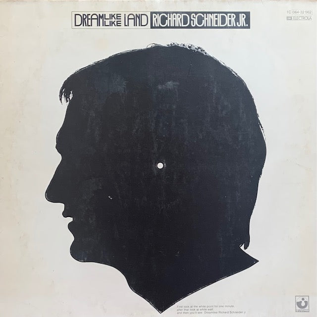 Richard Schneider Jr. - Dreamlike Land