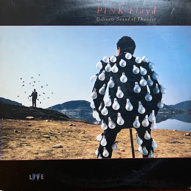 Pink Floyd - Delicate Sound Of Thunder