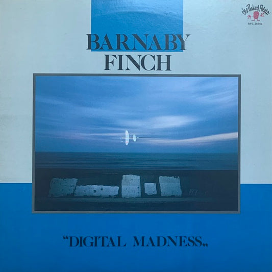 Barnaby Finch - Digital Madness