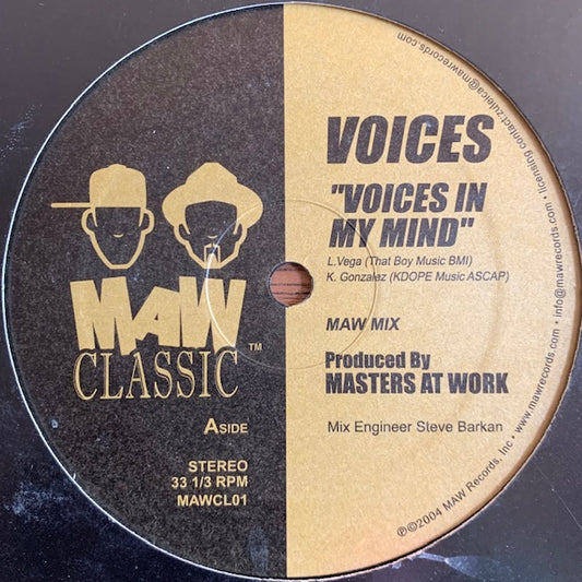 Voices - Voices In My Mind
