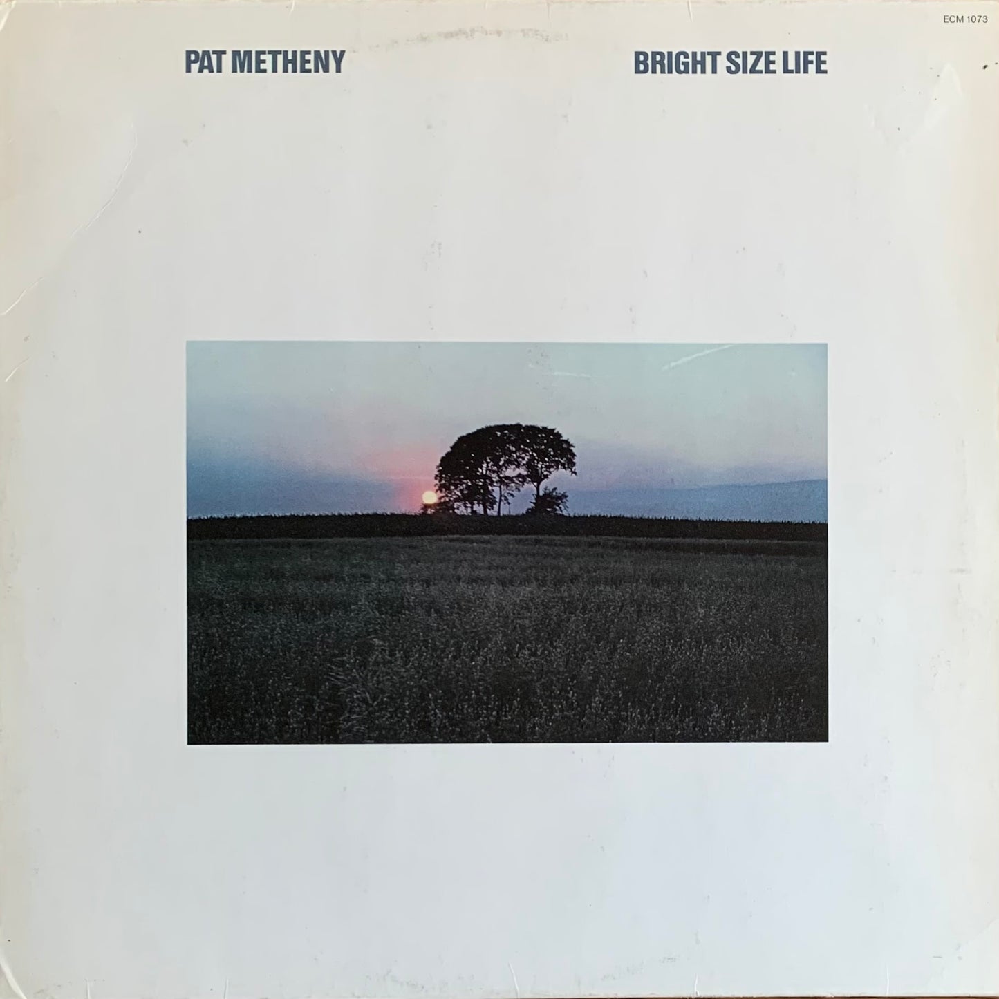 Pat Metheny - Bright Size Life