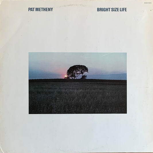 Pat Metheny - Bright Size Life